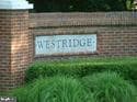 12460 Manchester Way photo 36