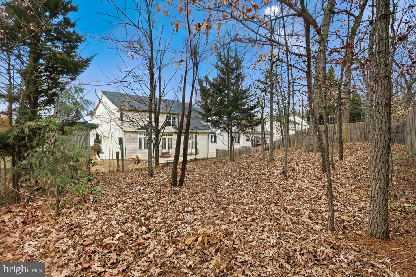 13217 Kinnicutt Drive photo 47