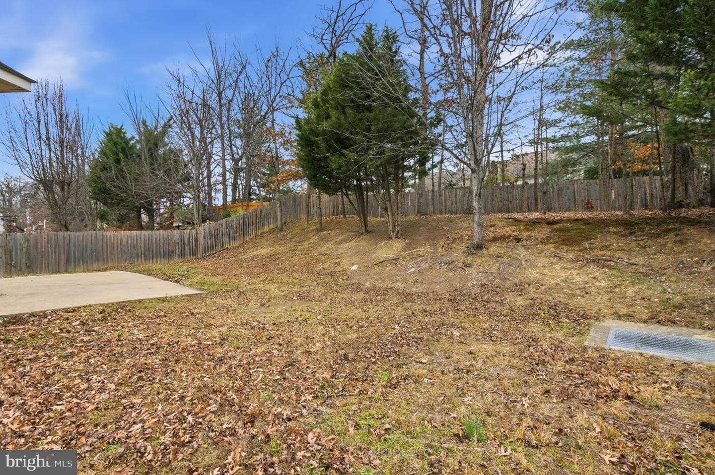 13217 Kinnicutt Drive photo 48