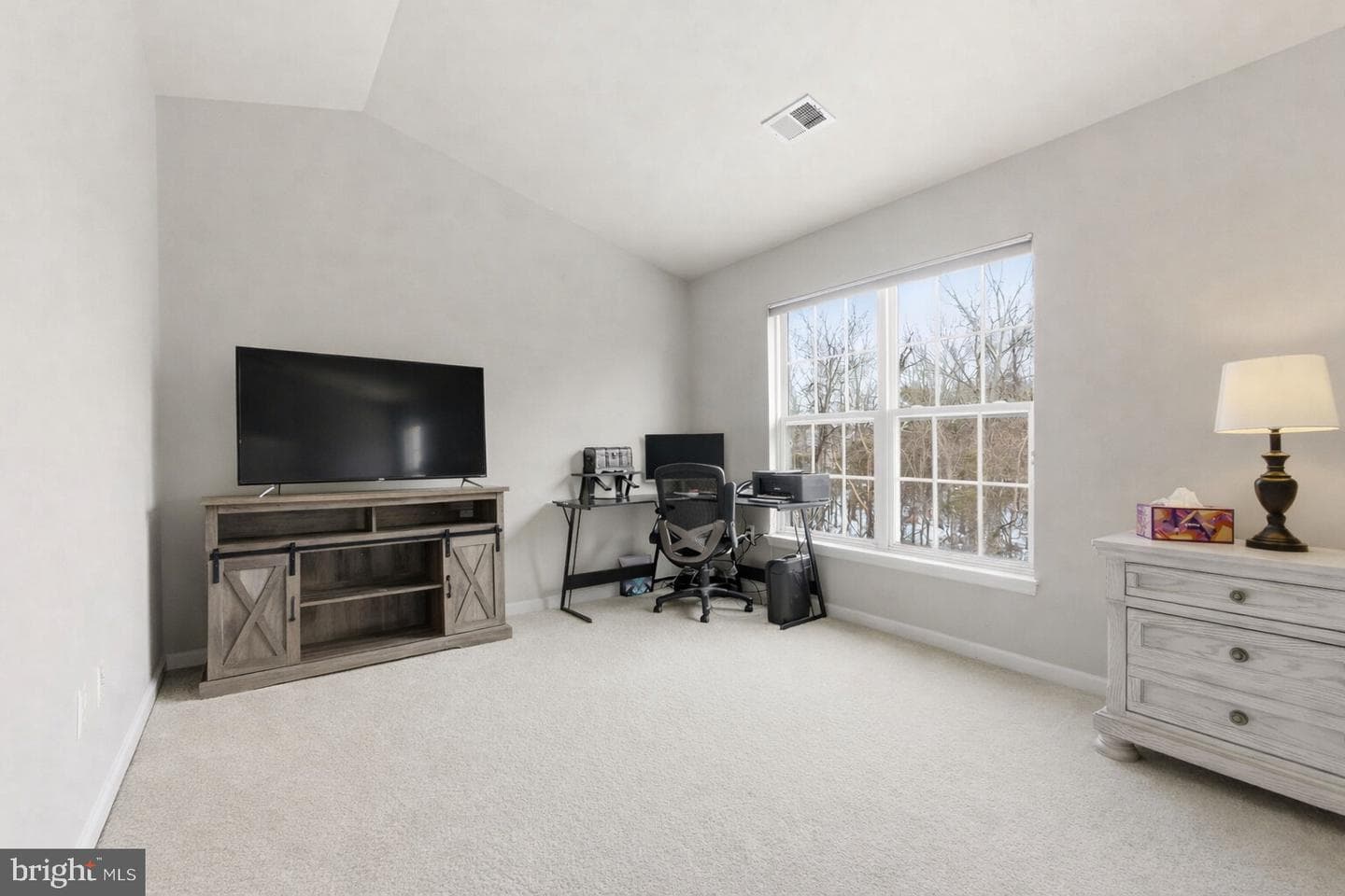 13119 Bigleaf Maple Court photo 23