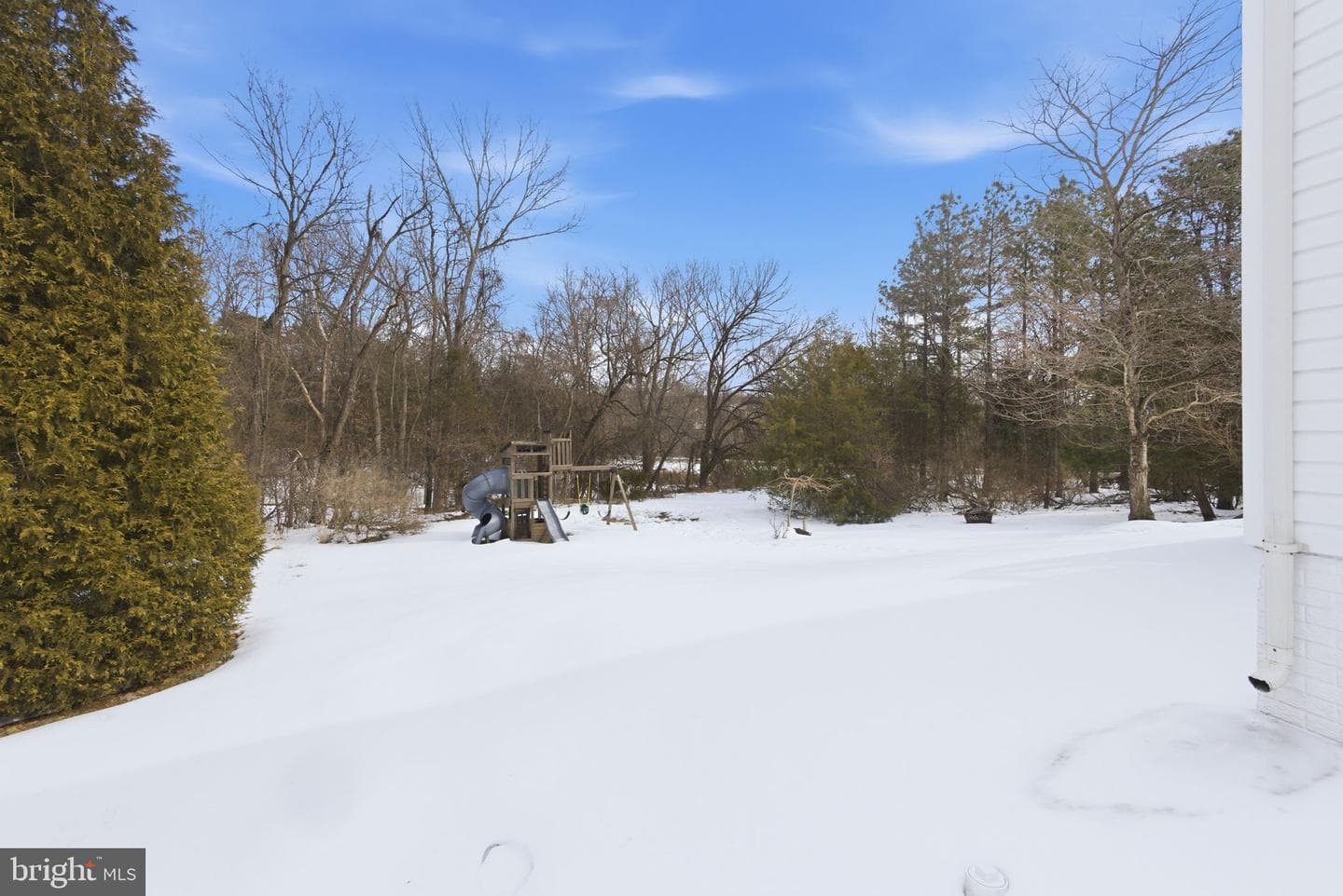 13119 Bigleaf Maple Court photo 33