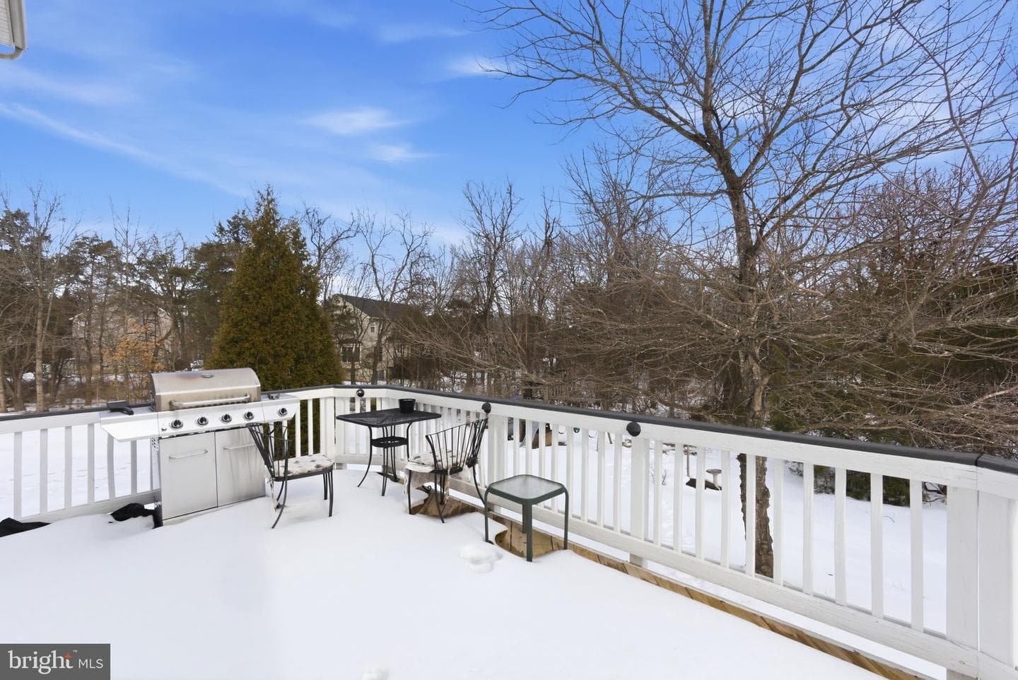 13119 Bigleaf Maple Court photo 35