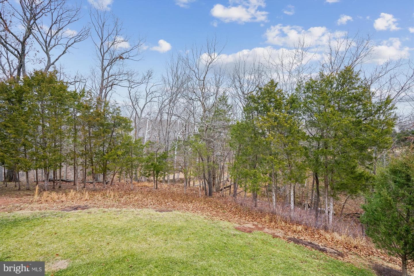 5934 Bowes Creek Place photo 64