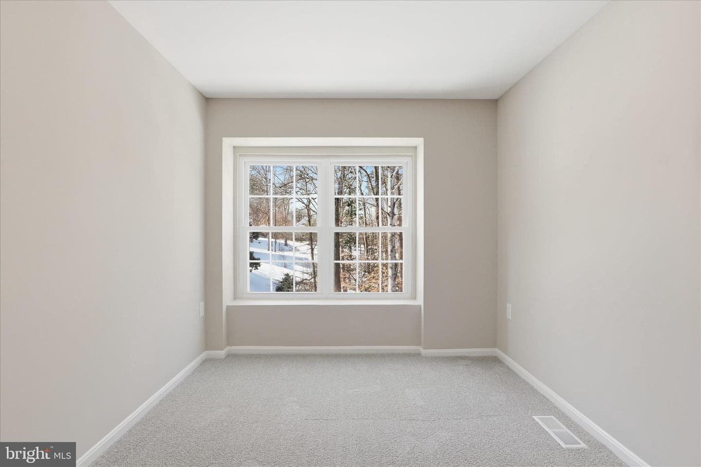 12183 Old Salem Court photo 36
