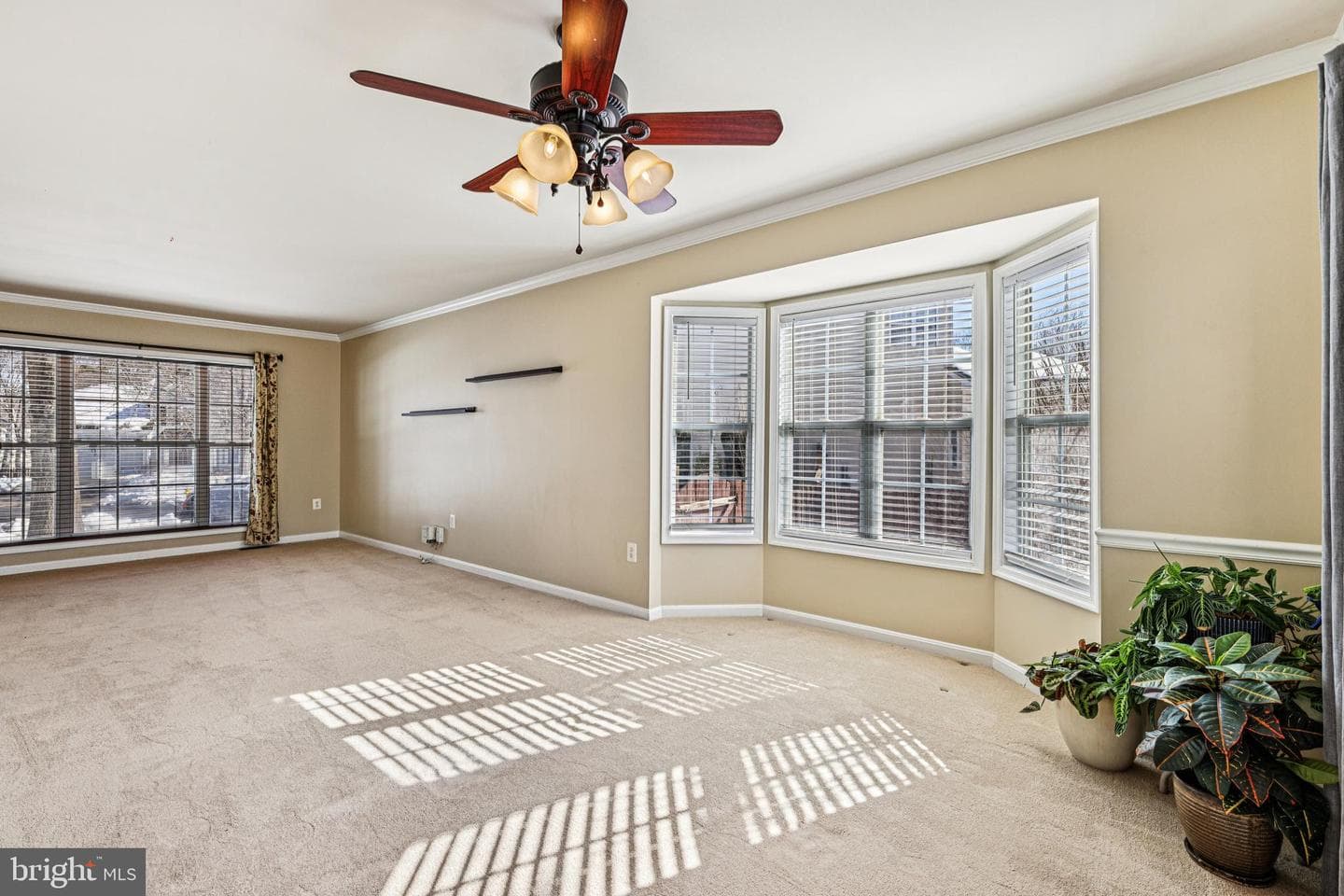 7785 Albert Myer Court photo 13