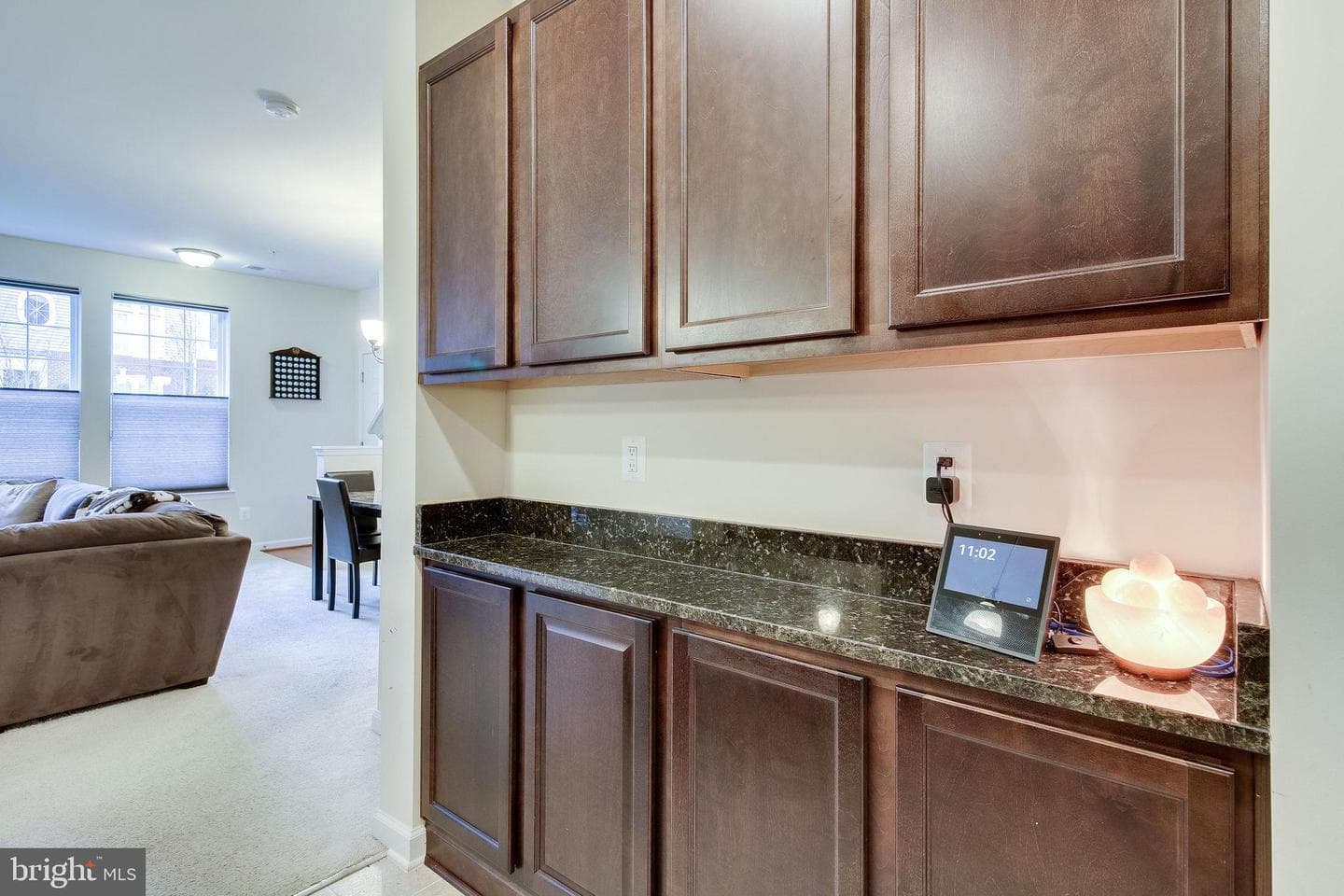 4847 Dane Ridge Circle #87 photo 11