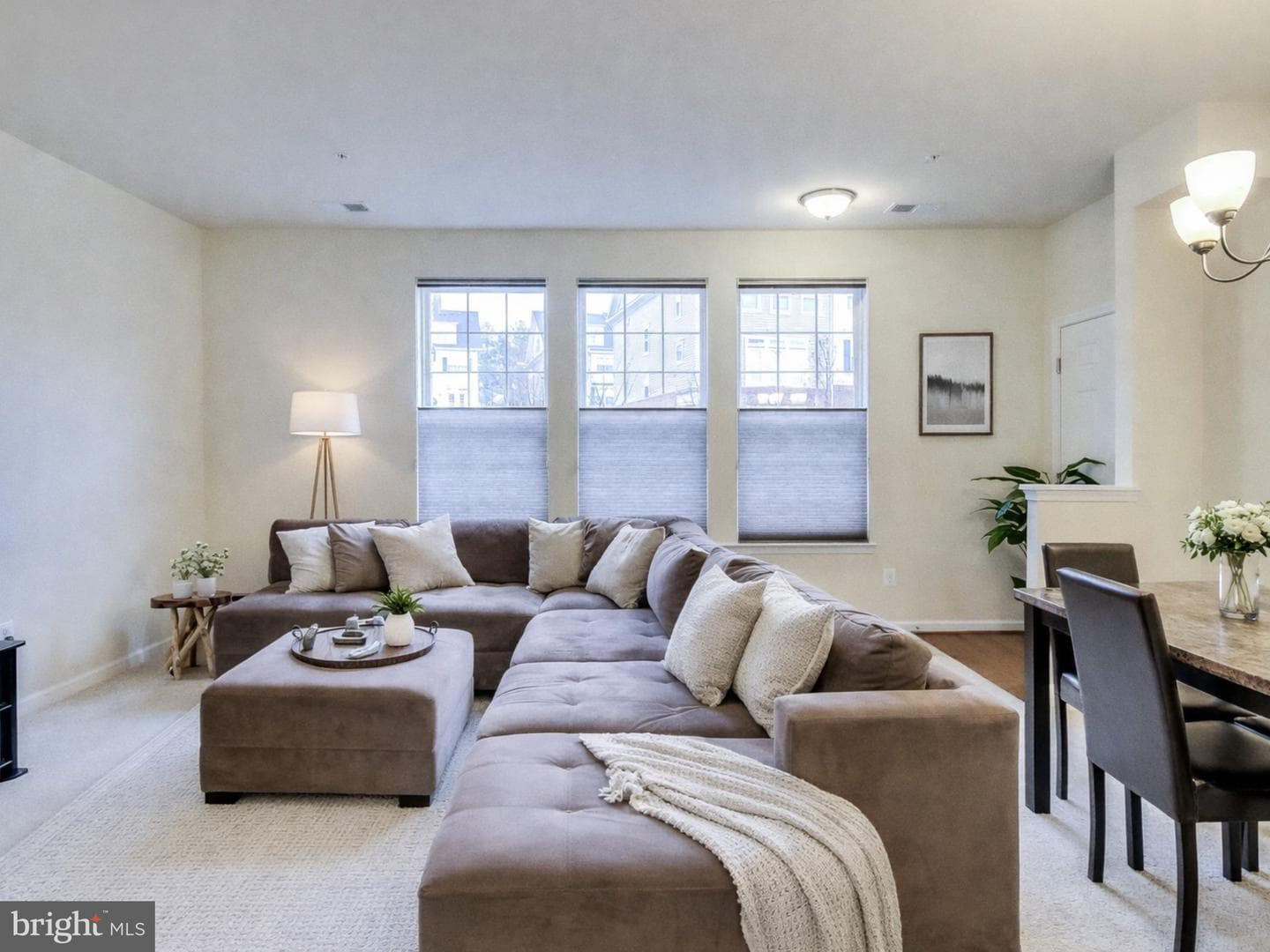 4847 Dane Ridge Circle #87 photo 5