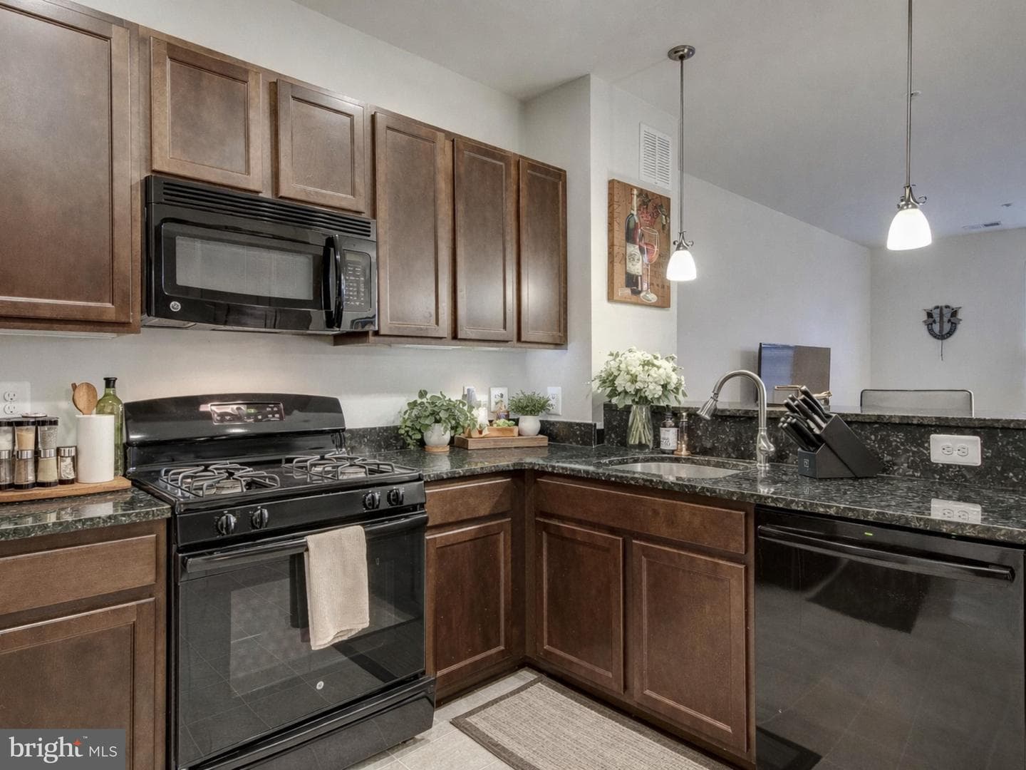 4847 Dane Ridge Circle #87 photo 9