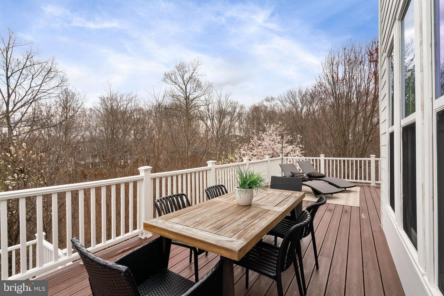 17211 Miss Packard Court photo 43