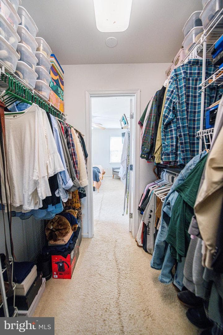 7910 Guy Drive photo 35