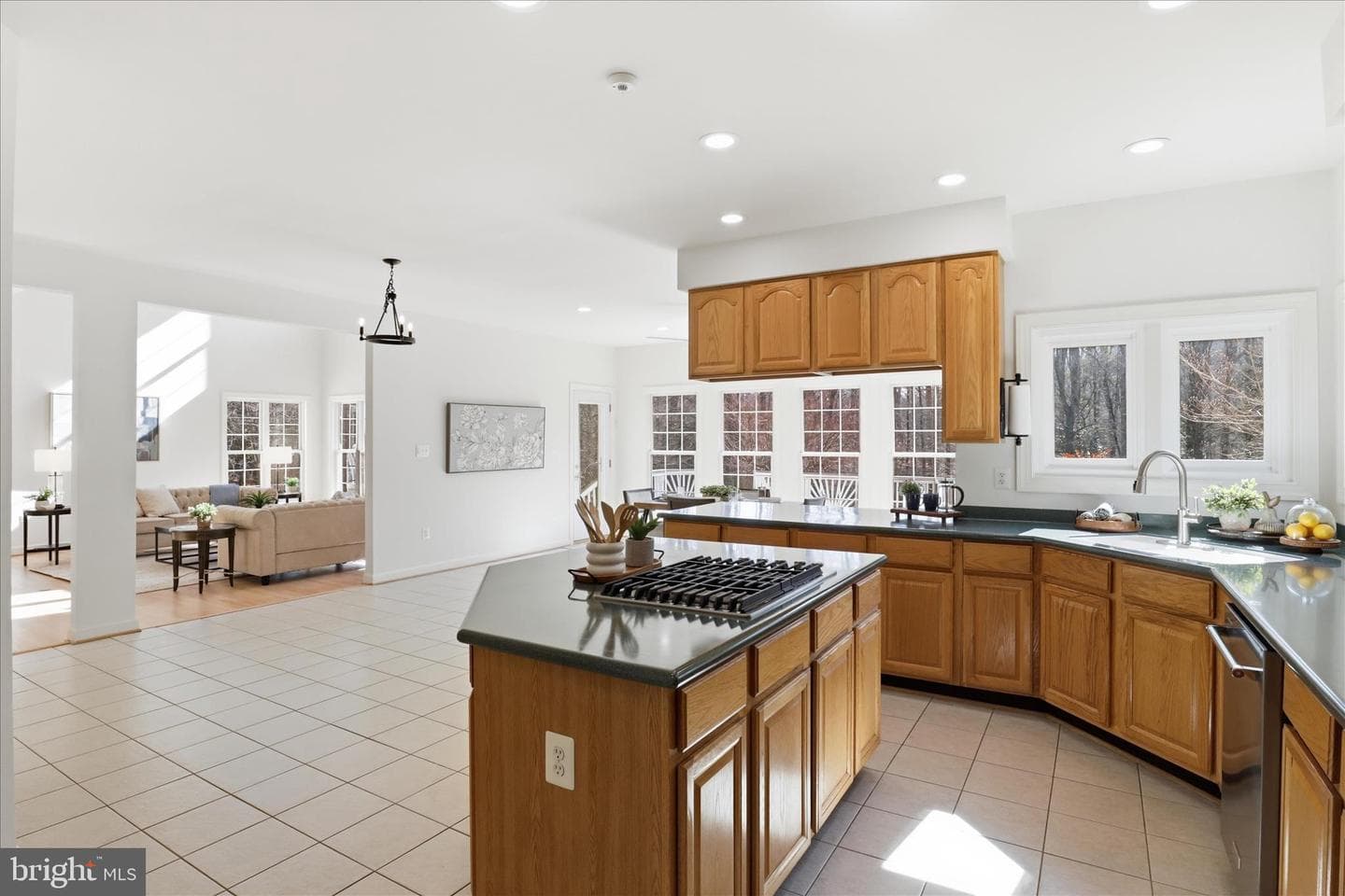 11021 Winding Brook Court photo 22