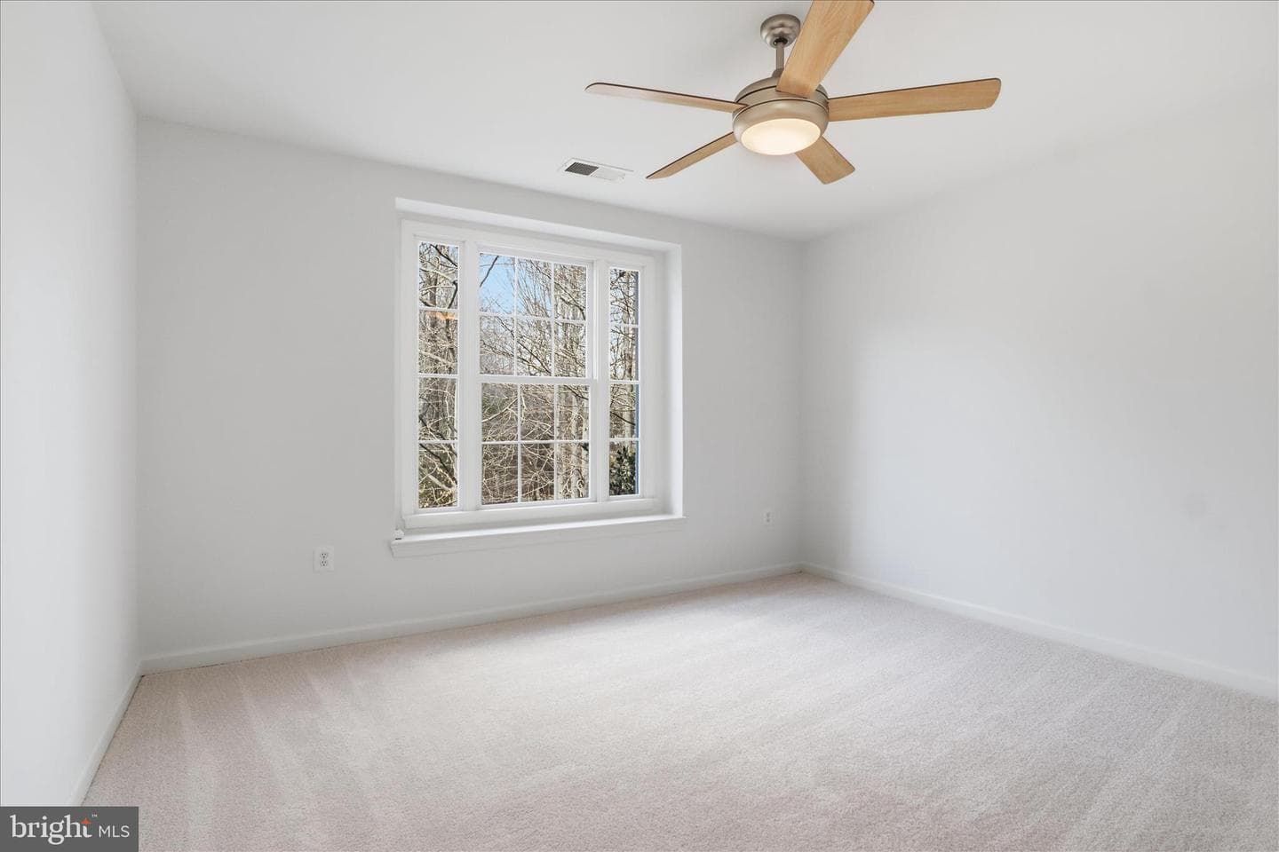 11021 Winding Brook Court photo 38