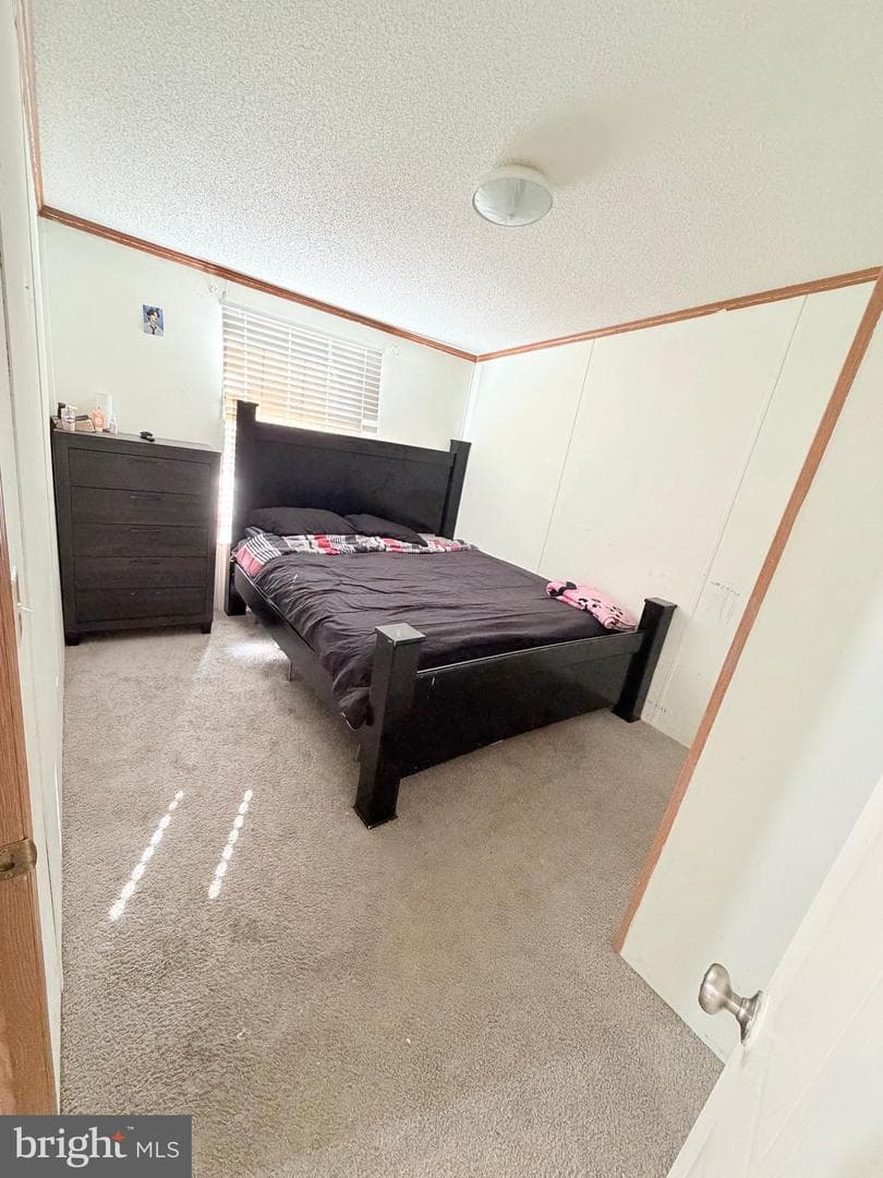 22 Prince William Circle photo 18