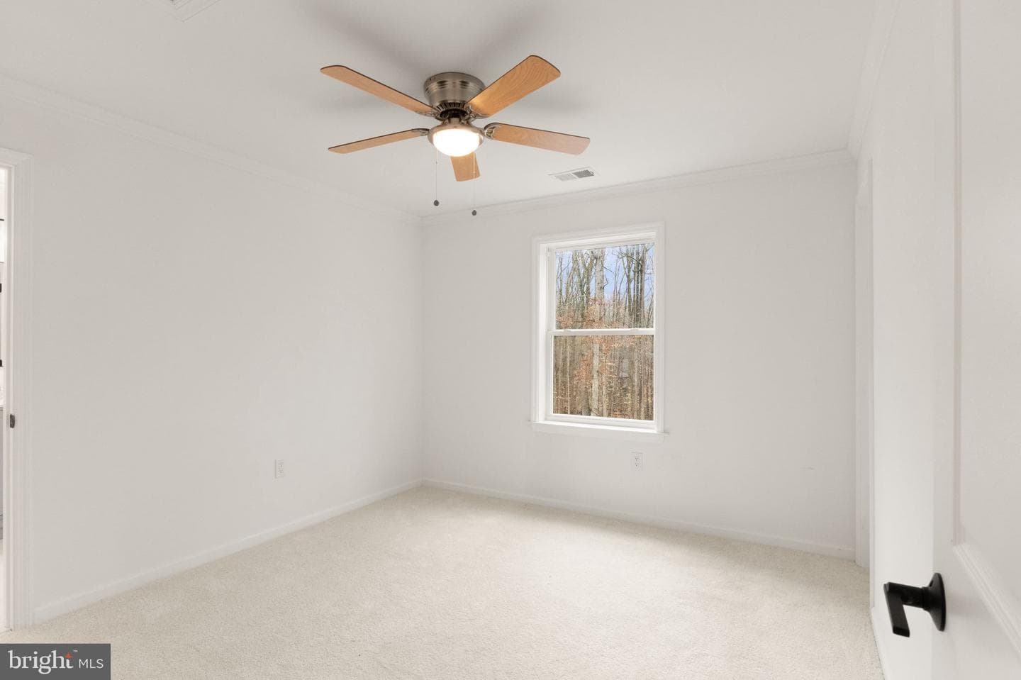 12005 Parkriver Drive photo 42