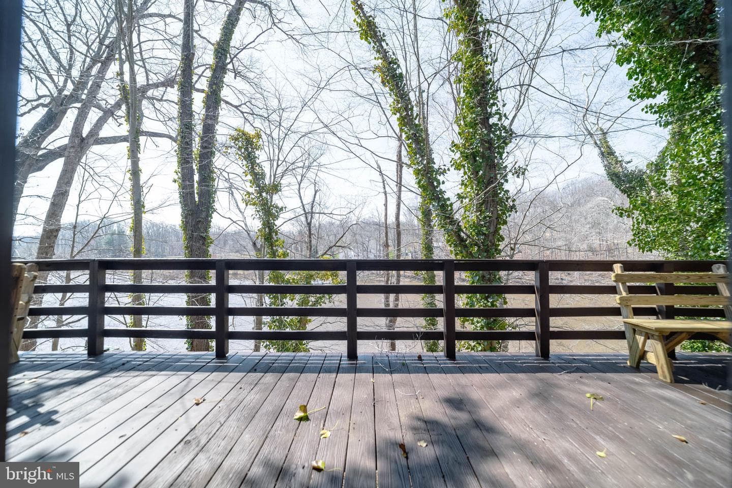 10754 Lake Forest Drive photo 31