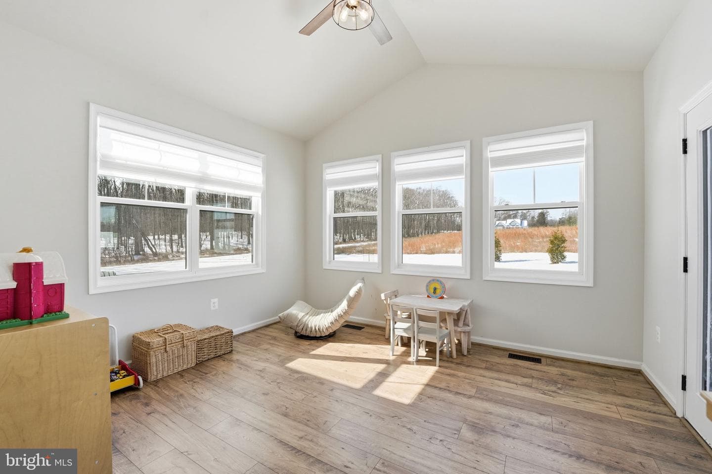 10580 Manley Road photo 21