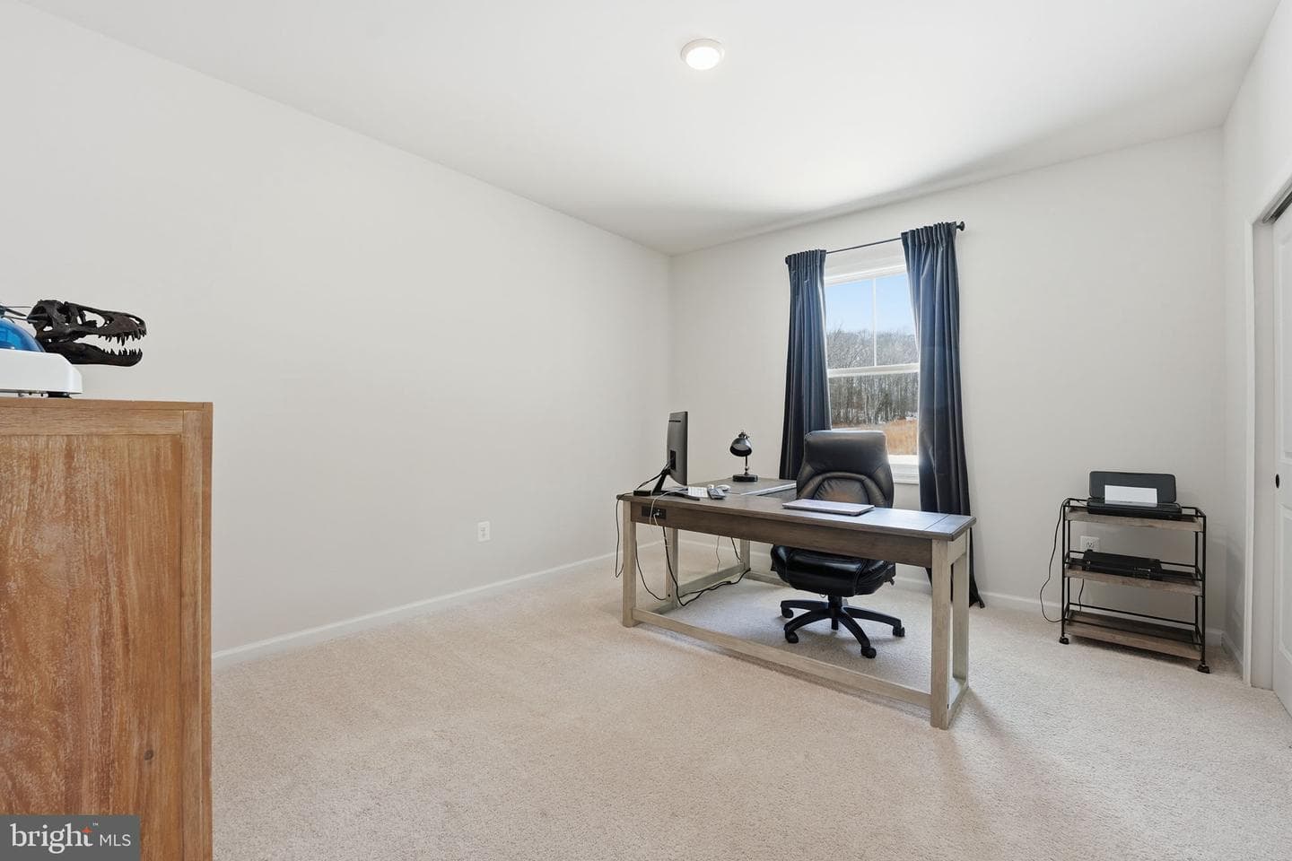 10580 Manley Road photo 27