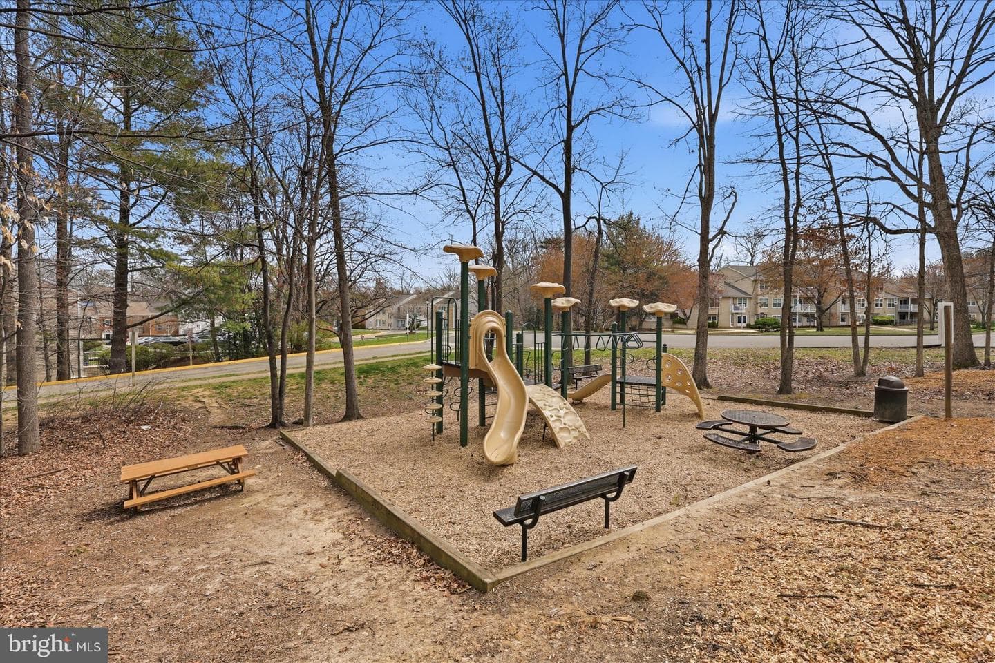 12108 Springwoods photo 31