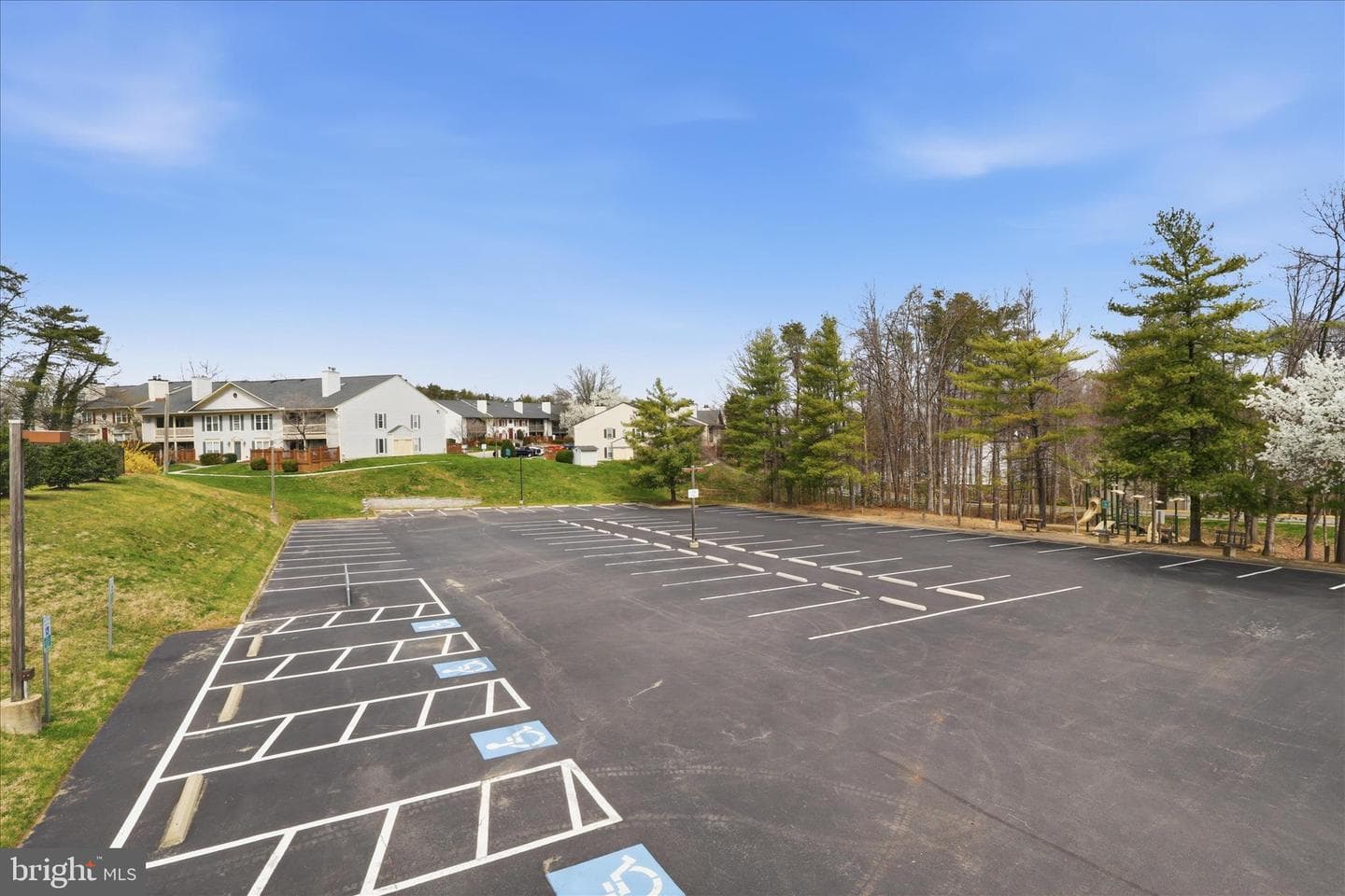 12108 Springwoods photo 32