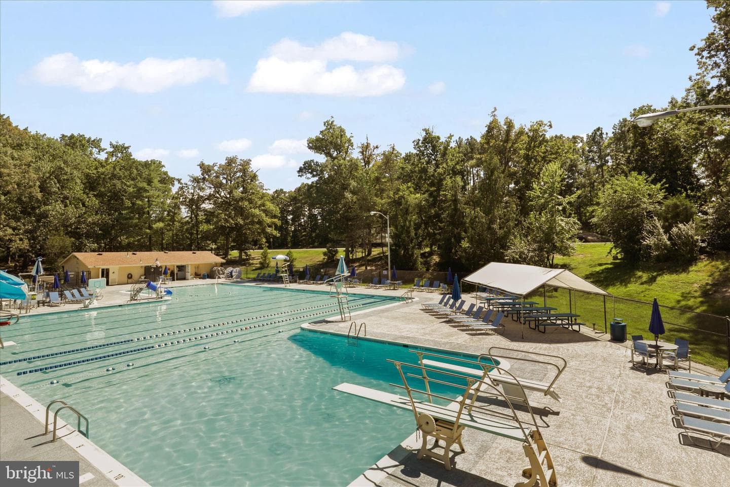 12108 Springwoods photo 35