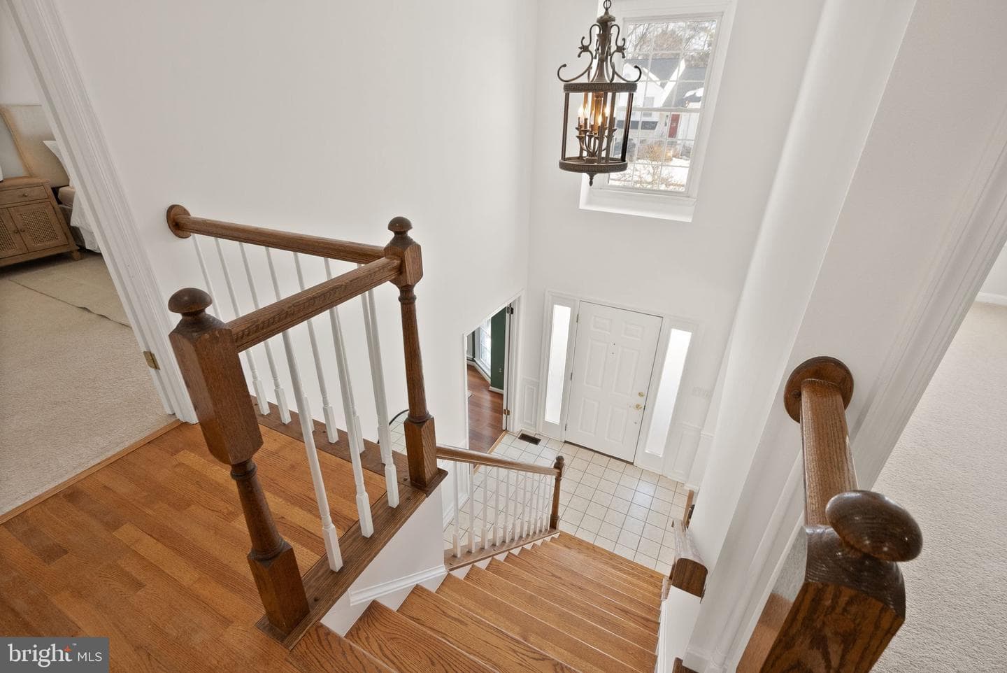 8144 Tall Timber Drive photo 30