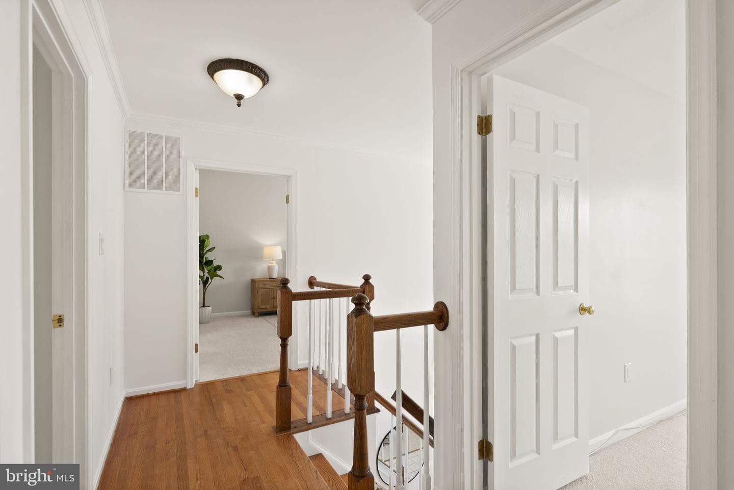 8144 Tall Timber Drive photo 31