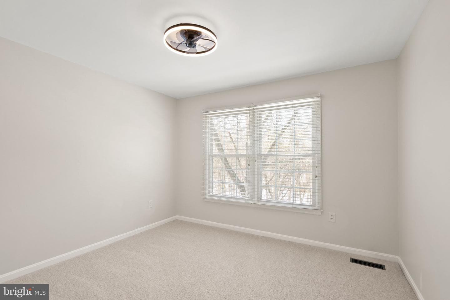 8144 Tall Timber Drive photo 41