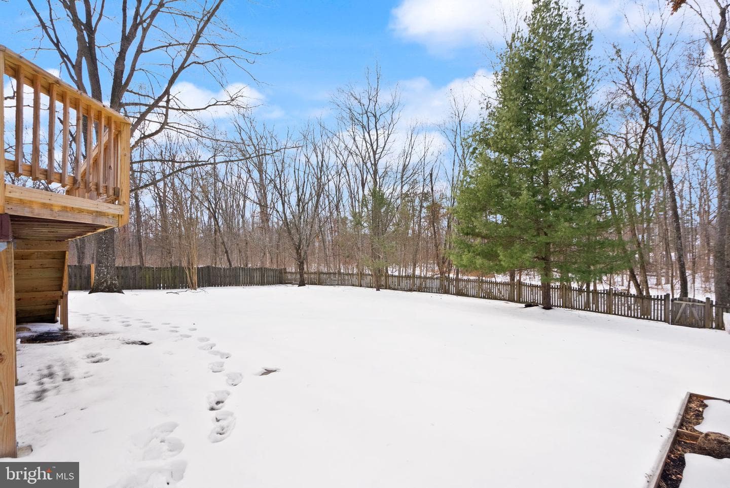 8144 Tall Timber Drive photo 66