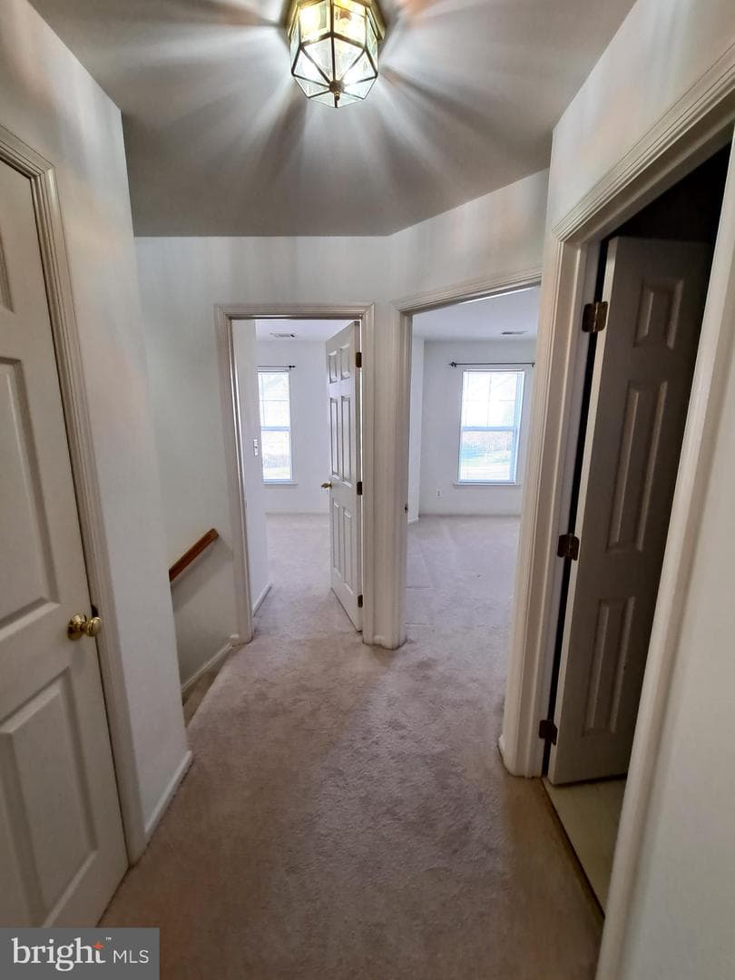 3567 Moon Way photo 20