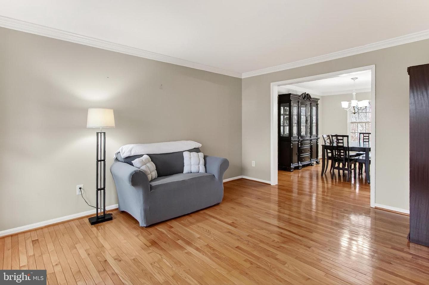 10501 Winged Elm Circle photo 11