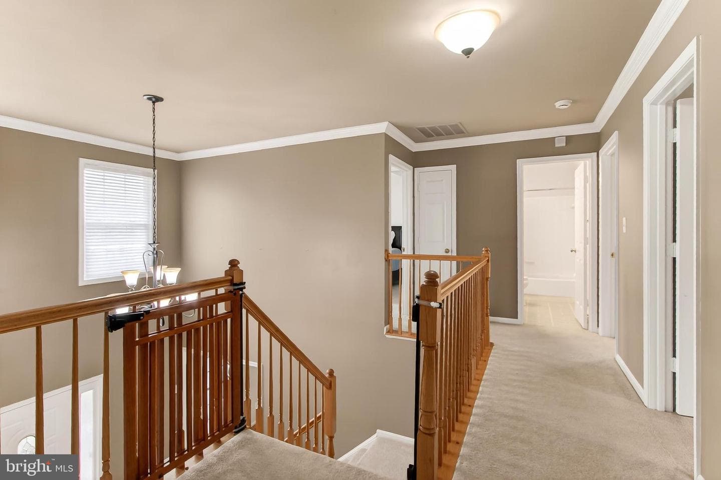 10501 Winged Elm Circle photo 28