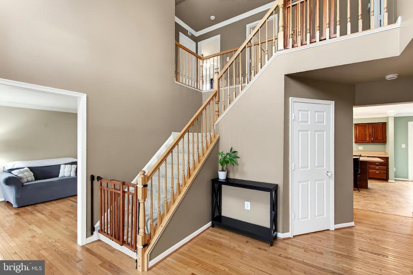 10501 Winged Elm Circle photo 9