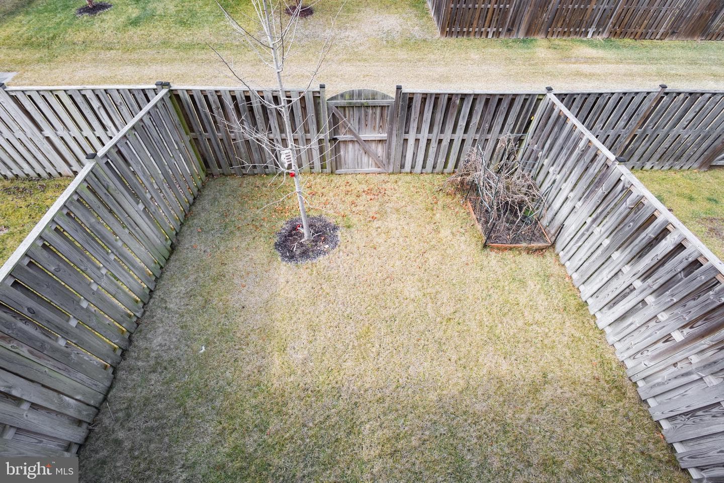 6824 William White Way photo 30