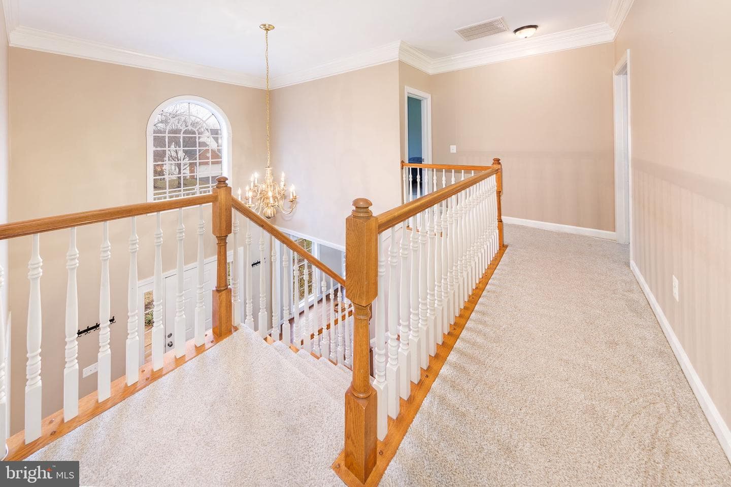 5638 Lick River Lane photo 36