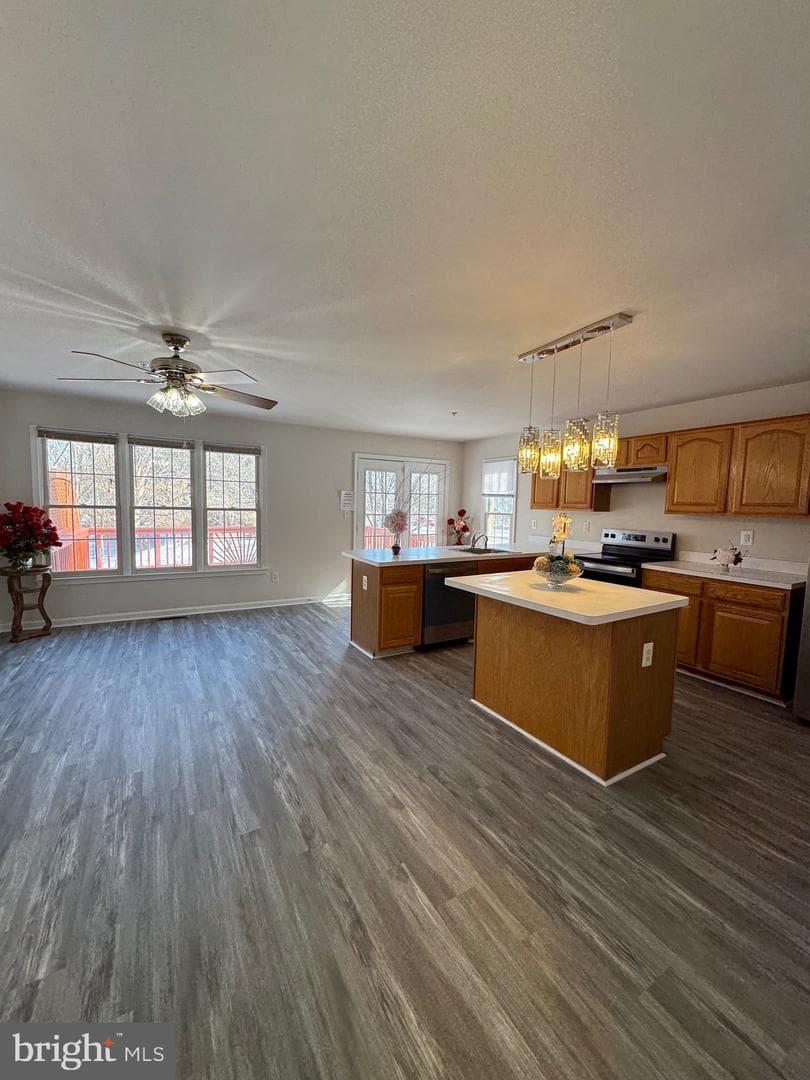 3982 Brussels Way photo 5