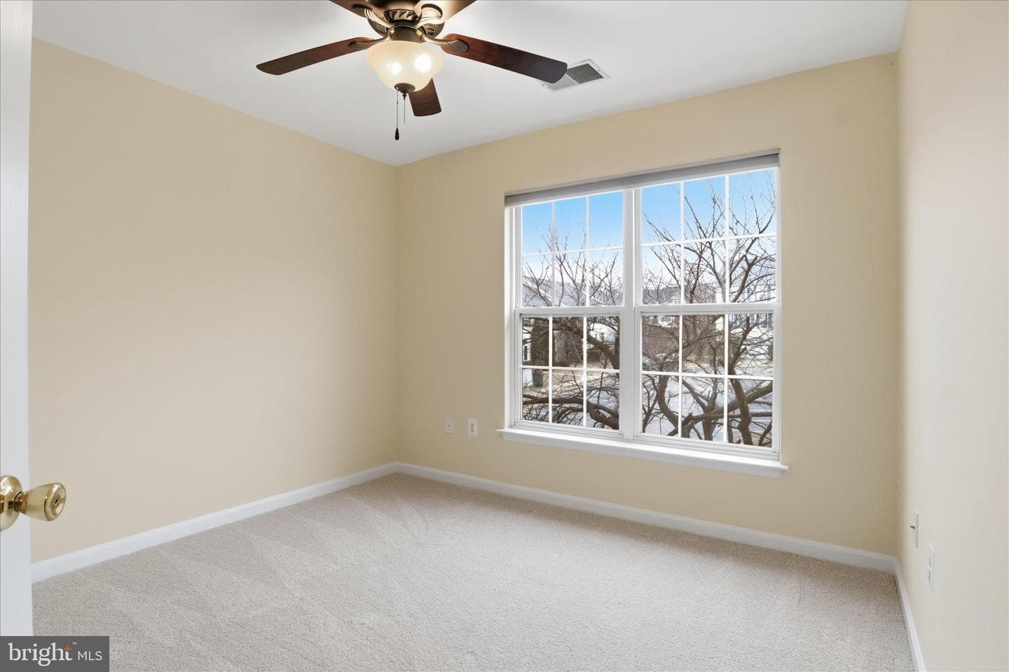 2909 Rotterdam Loop photo 19