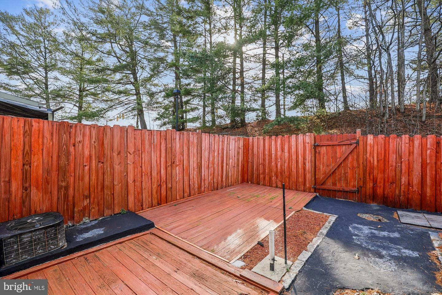 3608 Felmore Court photo 6