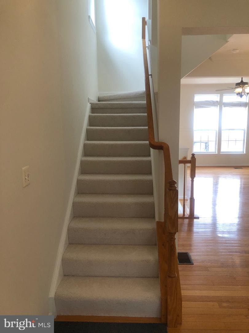 4091 Cressida Place photo 12