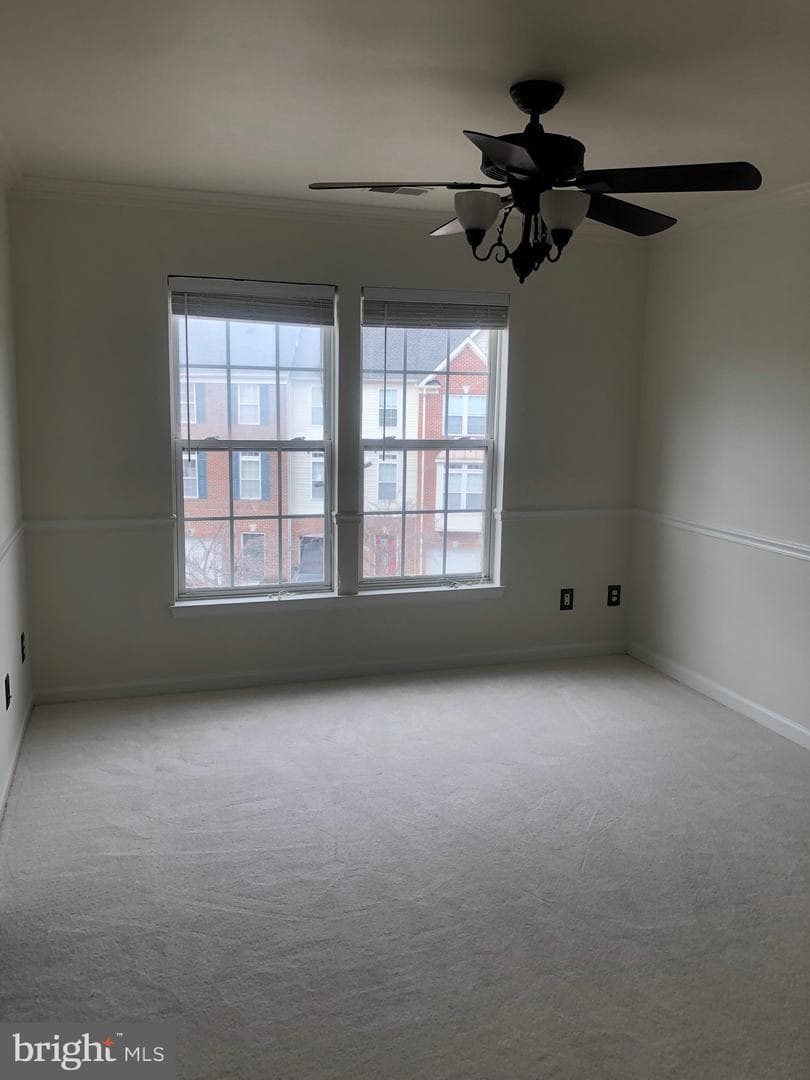 4091 Cressida Place photo 14
