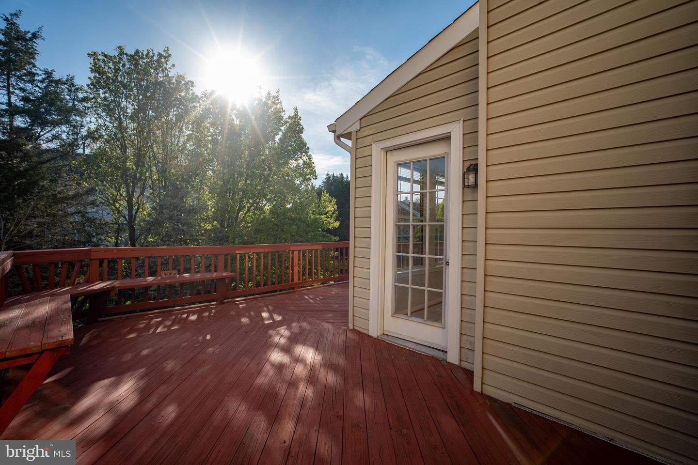 11141 Luxberry Court photo 23