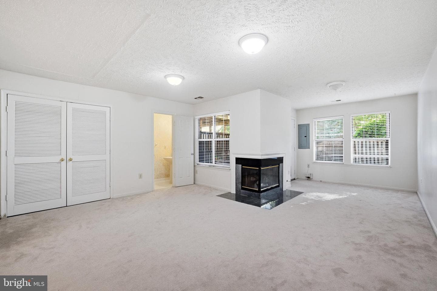 11141 Luxberry Court photo 42
