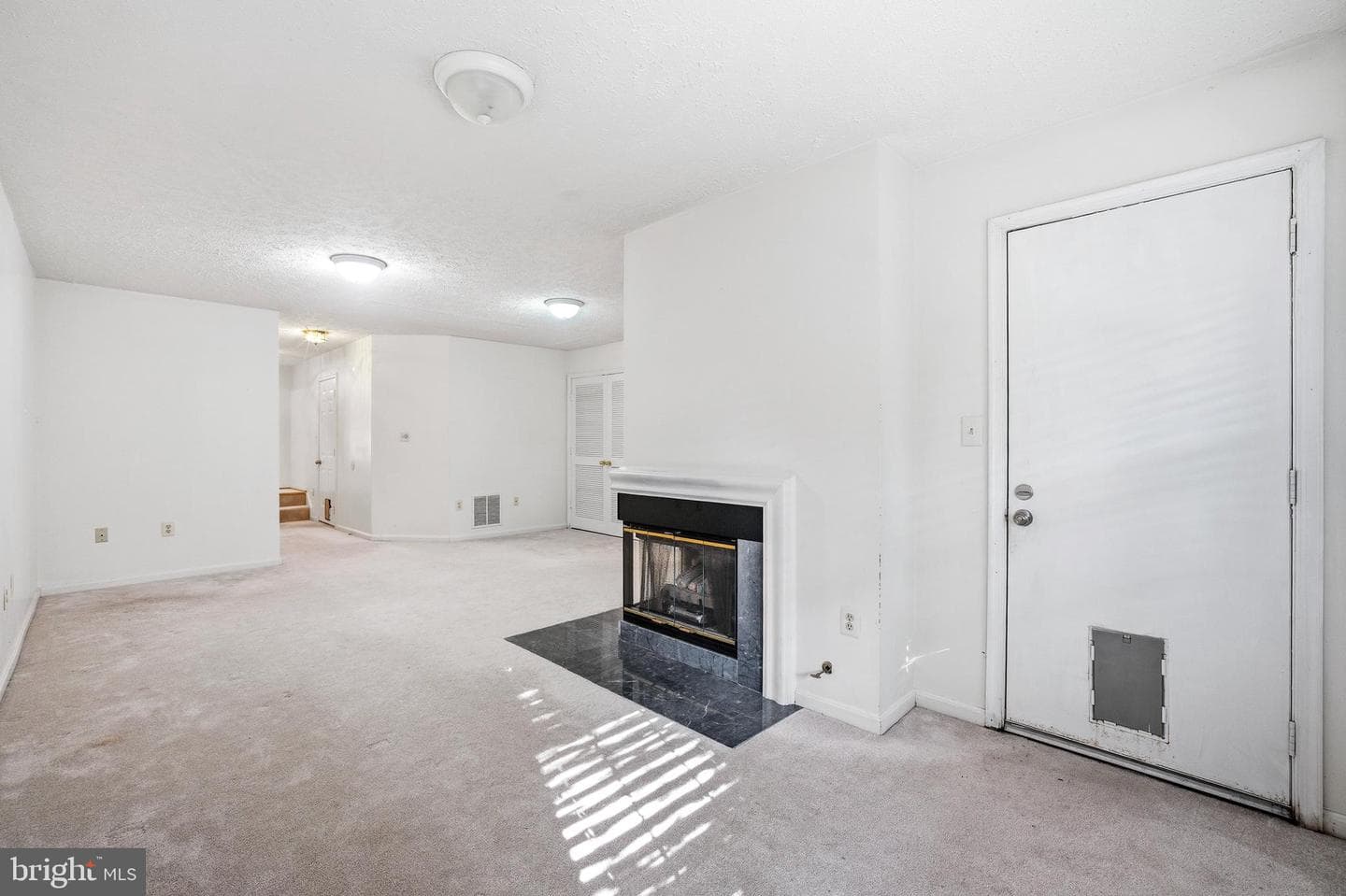 11141 Luxberry Court photo 44