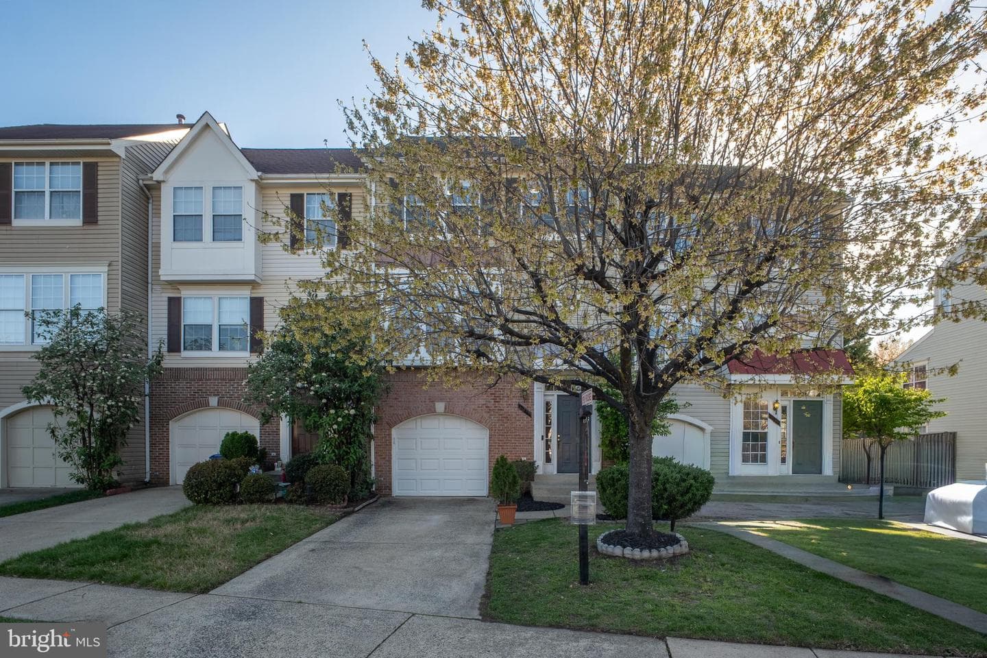 11141 Luxberry Court photo 51