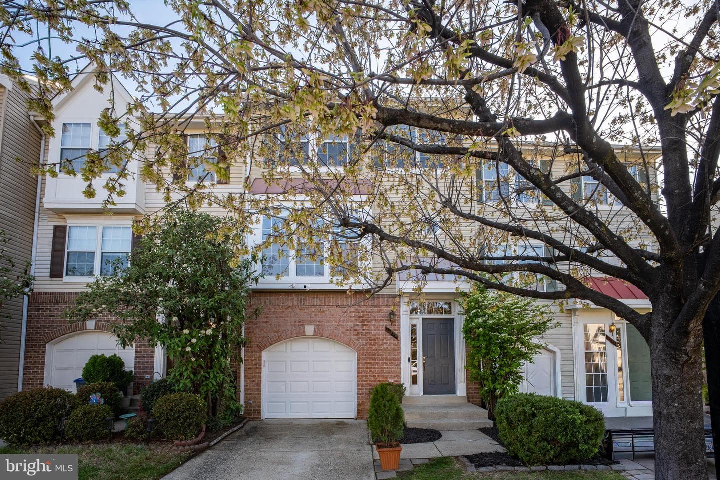 11141 Luxberry Court photo 53