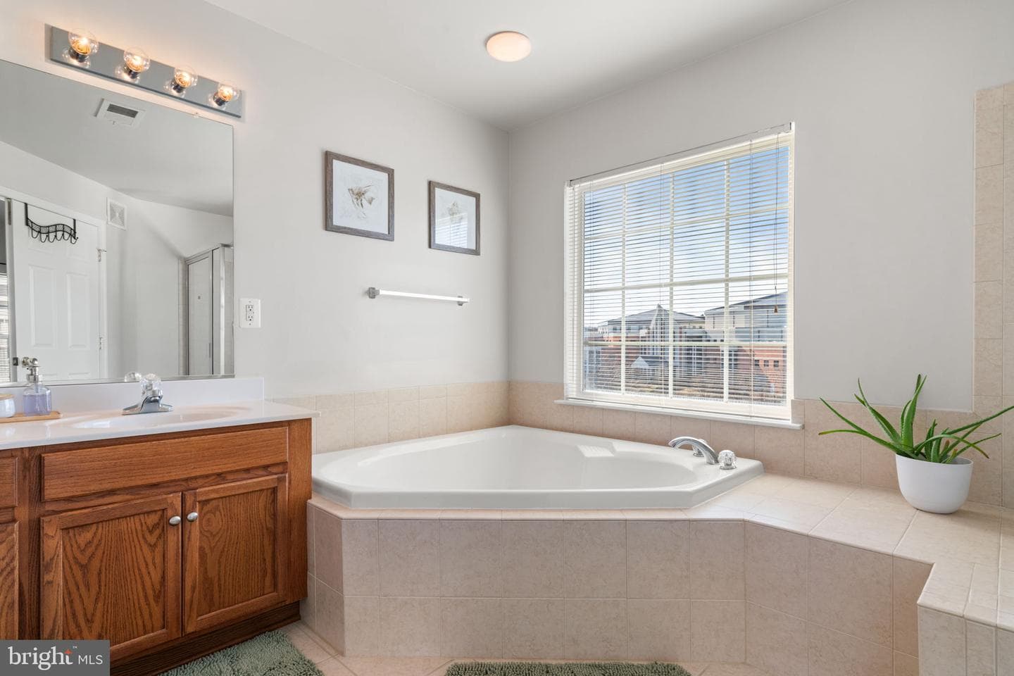 15529 John Diskin Circle photo 22