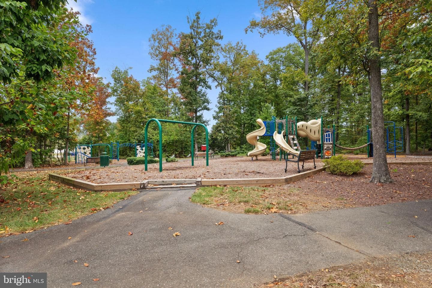 12203 Aster Road photo 49