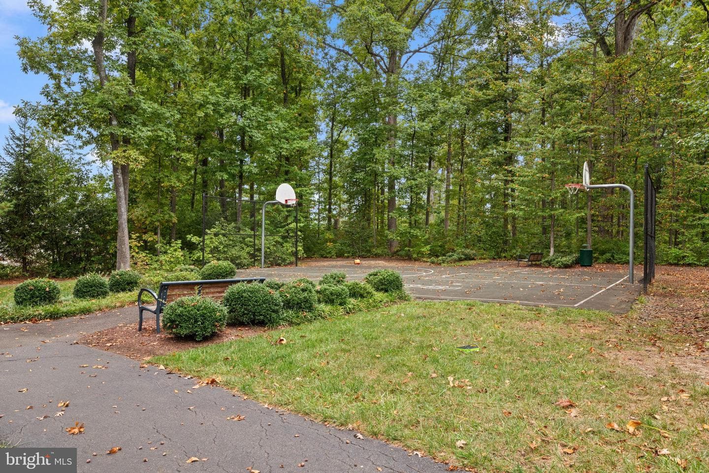 12203 Aster Road photo 50