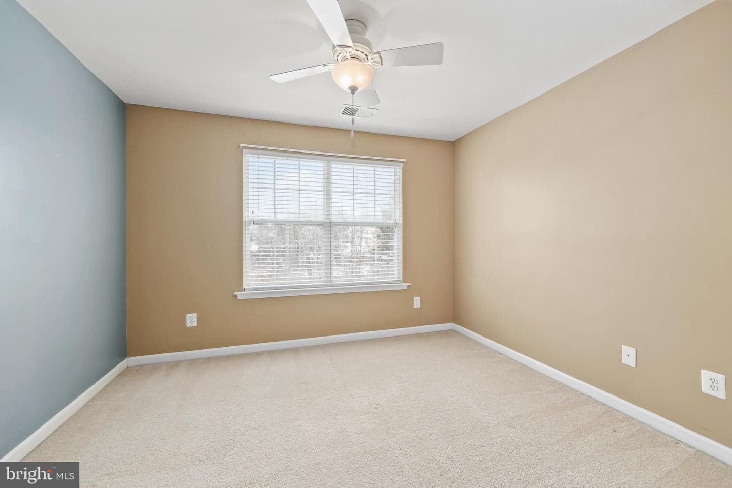 5431 Bantry Court photo 34
