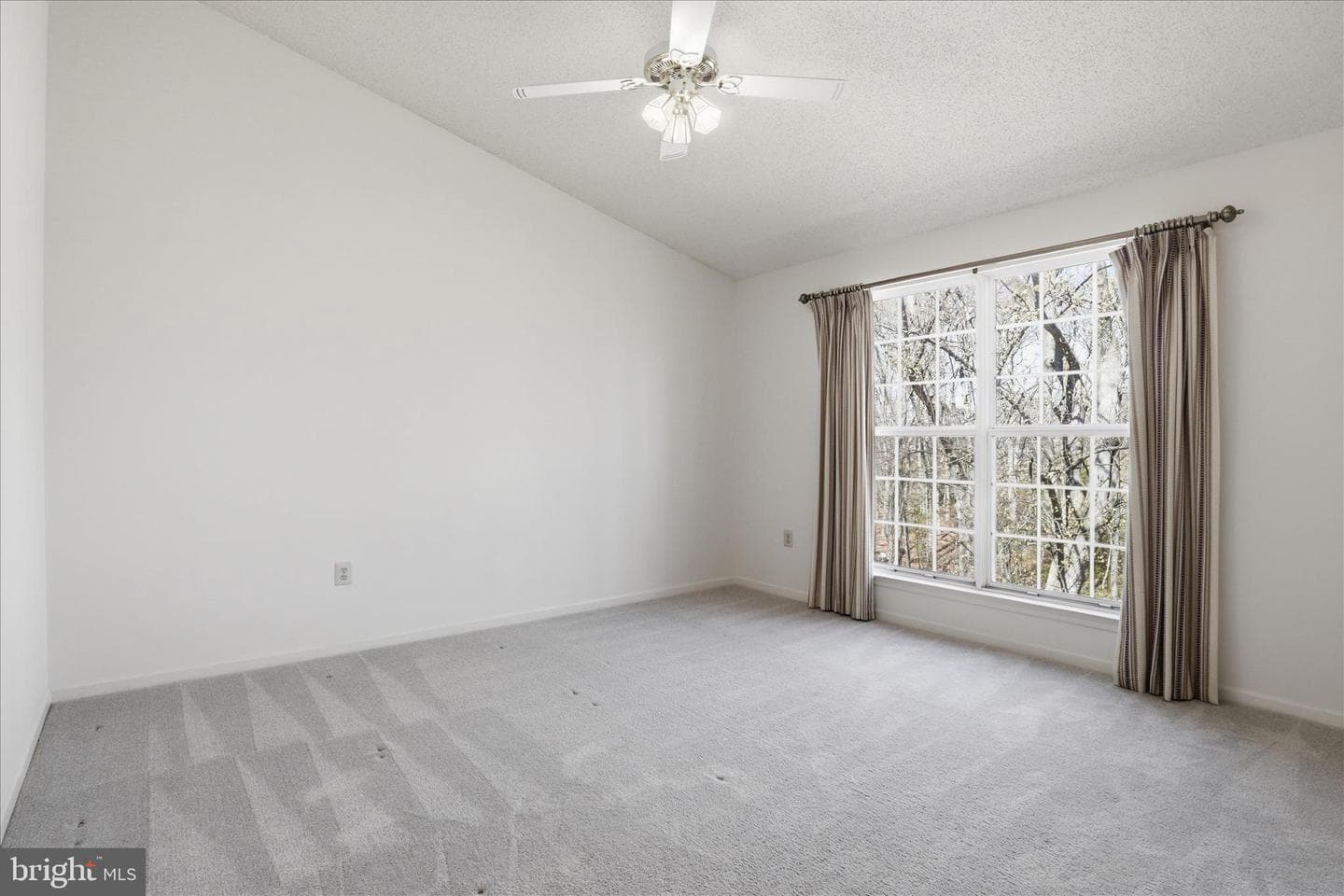 13201 Mountain Ash Court photo 41
