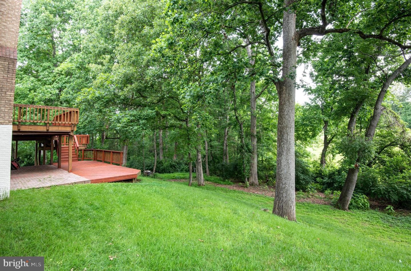 13201 Mountain Ash Court photo 56